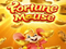 Fortune Mouse Slot: Ganhe Até 1000x Sua Aposta | Jogue Agora